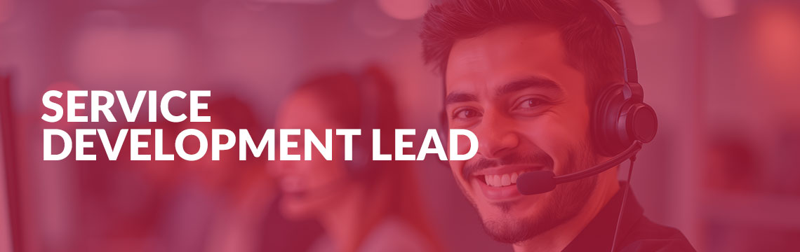 Service Development Lead Role