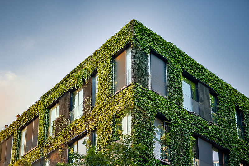 Carbon Reduction Plan